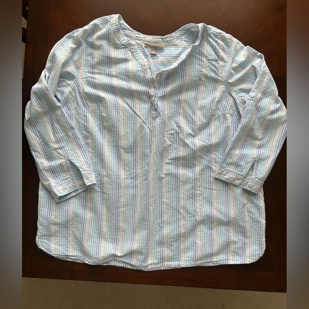 Blouse--Woman Within Blue Stripes